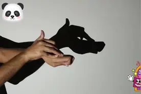 手把手教你做手影动物游戏，小兔子，小狗，小猫，小鸟等