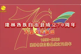 重温隆林各族自治县成立70周年大型文艺演出精彩瞬间 #县庆日视频封面