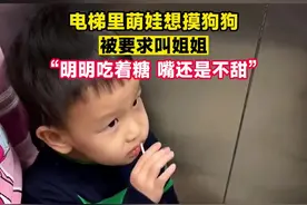 电梯里萌娃想摸狗狗，被要求叫姐姐，“明明吃着糖 嘴还是不甜”#萌娃#万万没想到#狗狗#惊不惊喜意不意外#这操作都看傻了视频封面