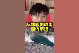 标致如果退出中国市场……#汽车知识 #带你懂车 #说车聊车 #抖音汽车新知计划 #汽车知识分享