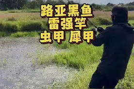 路亚黑鱼用什么装备什么竿子本期福利两支虫甲雷强竿 #原来钓鱼才是抖音运动顶流 #秋天正是钓鱼好时节 #路亚新手入门教程 #路亚黑鱼 #户外钓鱼 @虫甲