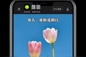 一种很好玩的p图教程，像素拉伸，赶紧学起来。#醒图#醒图创作者 #修图 #我超会p图der #p图教程