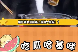 在成都见证了两只熊的国际友谊！#成都俄罗斯商品馆 #俄北熊 #春熙路上的俄罗斯 #成都攻略视频封面