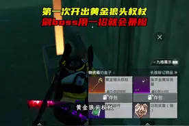 这种地方也能开出黄金狼头权杖，刷boss用技巧会暴橙