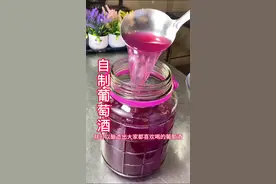 传统葡萄酒制作方法#美食分享  #果酒 #水果酒视频封面