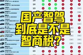 汽车智驾到底是不是智商税？ #懂车帝36款车辅助驾驶科普 #智驾 #行业大揭秘 #王传福 #内容启发搜索