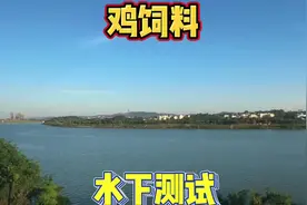 为什么几块钱一斤的鸡饲料才是大鲤鱼的最爱的口味视频封面