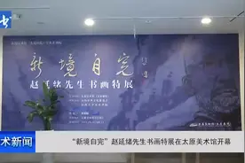 “新境自完”赵延绪先生书画特展在太原美术馆开幕 #国画山水视频封面