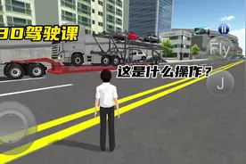 #233乐园 #3D驾驶课 #模拟游戏 车怎么不见了？