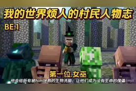 我的世界烦人的村民人物志第一期：女巫#我的世界视频封面