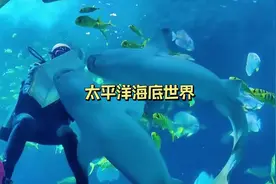 太平洋海底世界的超全攻略来啦！#亲子游玩好去处 #遛娃好去处