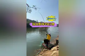 深山野库钓巨物，荒野垂钓第66天，只要位置选好，冬天钓鱼一样有好的收获#户外 #野钓 #2025dou来钓鱼 #用运动迎接2025 #钓鱼人的2024年度回忆视频封面