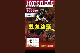 越野车要从娃娃抓起#越野 #电动越野 #虬龙幼蜂 #幼蜂视频封面