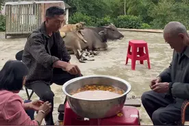 做枇杷膏 枇杷大丰收，枇杷膏润肺止咳、清热降火、生津止渴、调理肺部#三农 #记录真实生活 #动物 #枇杷膏好处多 #枇杷大丰收