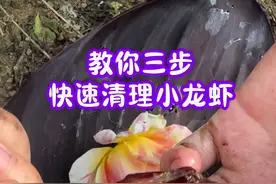 教你三步，快速清理小龙虾#小龙虾 #吃小龙虾的季节视频封面