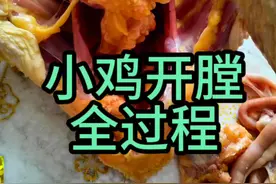#记录农村生活#小鸡开膛全步骤#农村散养土鸡