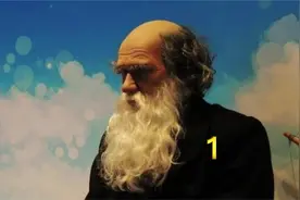 无情的“进化”，达尔文进化论与人类的发展#达尔文 #进化论