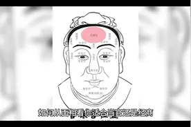 如何从面xiang看你适合当官还是经商？#面相 #易学智慧 #易经文化