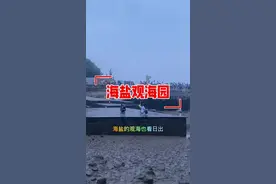 海盐.观海园、还可以赶海哦兄弟们、停车免费、门票免费兄弟们#旅行视频封面