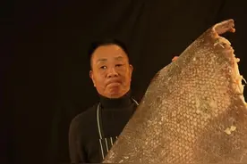 昆仑鲍甫#美食 #海鲜 #吃货 #石斑鱼