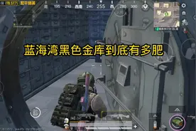 蓝海湾金库一开，居然让我狂赚近百万#和平精英空投节