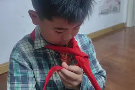 你家娃都会系红领巾吗#红领巾的正确系法