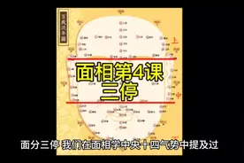 面相第4课——三停#国学文化 #识人术 #面相 #相由心生 #相学