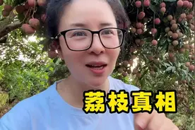荔枝皮煮水等于喝农药 都说荔枝皮煮水喝降火，实则等于喝农药