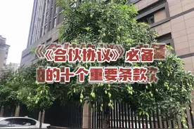 合伙协议必备的十个重要条款#合伙#经济纠纷#债务 #福州律师视频封面