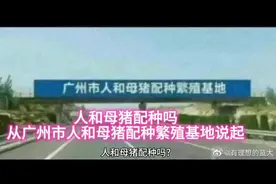 人和母猪配种吗？从广州市人和母猪配种繁殖基地说起#所有养猪人