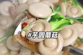 3块一斤的芋子，我婆婆换着花样的做各种芋子美食，今天做的芋圆蘑菇真的太好吃了，滑滑嫩嫩的，每人炫了一大碗，吃的干干净净～ #芋圆蘑菇 #芋子的神仙吃法 #江西特色美食 #家的味道视频封面