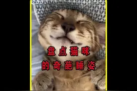 盘点猫咪的奇葩睡姿，谁家小猫咪睡觉跟个人似的！#萌宠 #猫咪
