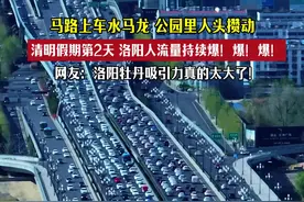 清明假期第2天，洛阳人流量持续爆！爆！爆！马路上车水马龙， 公园里人头攒动~#洛阳 #清明节视频封面
