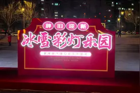 哈市香坊区劳动公园的冰雪彩灯乐园正式开园。现场以迎新年