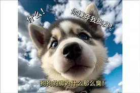 #创作灵感 狗狗脚脚怎么那么臭！#科学养宠攻略 🐶:我把你当唯一视频封面