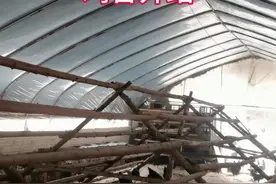 鸡舍鸡棚怎么搭建，散养土鸡鸡舍#养鸡人 #散养土鸡 #鸡棚 #鸡舍 #养鸡技术 半