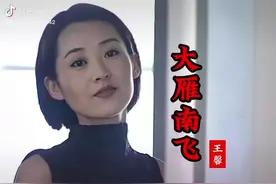 大雁南飞#只有经历过的人才会懂 #触及真心视频封面