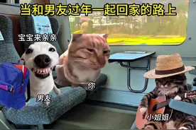 当和男友一起过年回家的路上 #猫咪表情包 #新年又开始摸猫头了视频封面