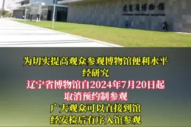 辽博最新通知：取消预约制参观#辽博取消预约致参观 #辽博