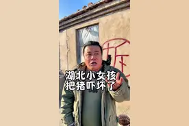 湖北小女孩把东北的猪吓坏了#看一遍笑一遍 #农村生活 #东北视频封面