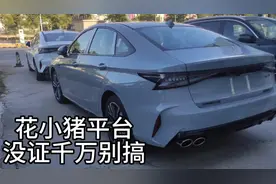 没双证千万别搞网约车，花小猪就是坑人的！#艾瑞泽8 #车友会视频封面