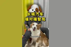 都是端对端方案，体验还能天差地别？#蓝山智驾版 #智驾上限看蓝山 #魏牌蓝山智能焕新有多能打 #美好生活有摩卡相伴