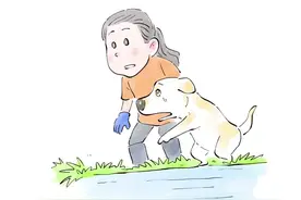 暖心救援！狗妈妈“求助”路人，狗宝宝成功脱险！#狗狗#狗狗的心思都写在脸上了 #暖心救援 #画画#艺术在抖音视频封面