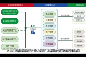 shein跨境电商平台怎么入驻？入驻希音的条件及流程#双十一 #电商视频封面