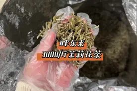 胖东来3000一斤的茉莉花茶到底有多想香！！#胖东来 #许昌视频封面