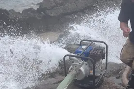 盘大货了兄弟们 端午节给大家抽个水坑#赶海视频封面