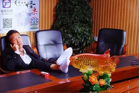 浩哥荣升猪场懂事长，阿厦打电话回忆当年