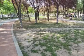 第十名现象，班里最有出息的往往是第十名左右的孩子