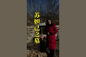 苏妲己真是迷惑商纣王的狐狸精吗？ 她毁了商汤王朝吗？其实我们都冤枉她了，应该还她一个清白#封神榜 #苏妲己 #过年去哪玩 #纣王 #商朝