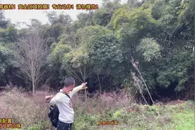 一镜到底5颗钢珠断4根竹子 #弹弓#户外#户外拍摄